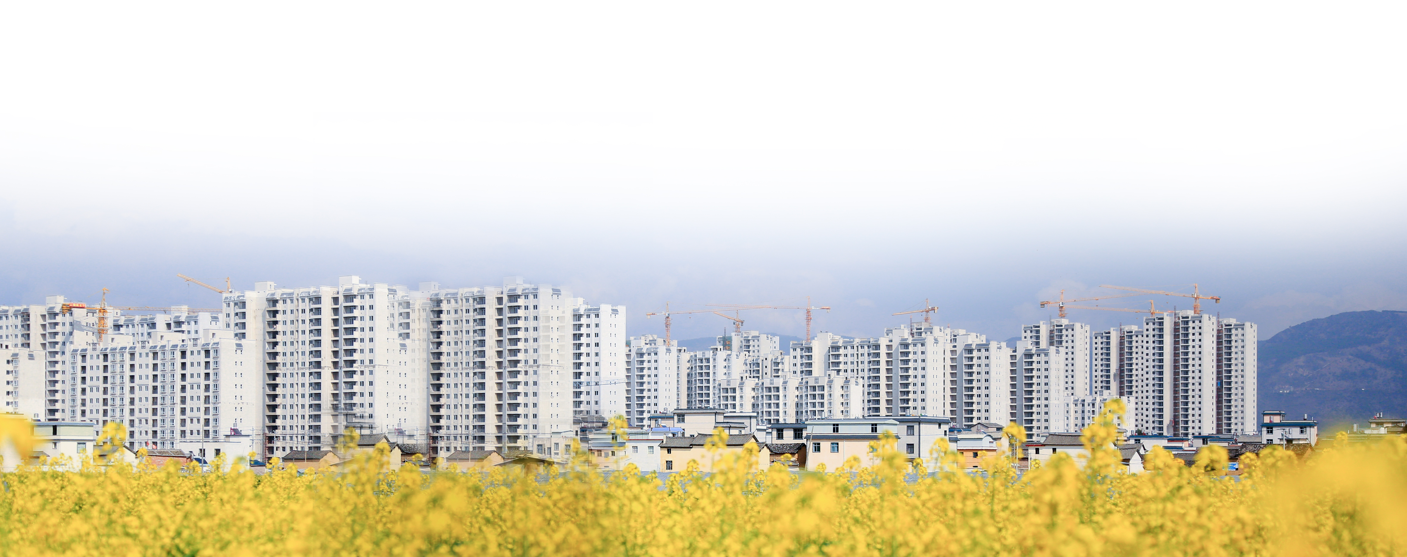 保山市青華湖片區(qū)棚戶區(qū)改造項目